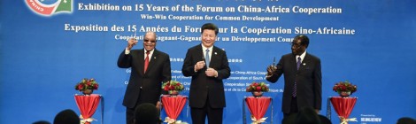 6th Forum on China-Africa Cooperation: Xi’s pledge raises mixed reactions