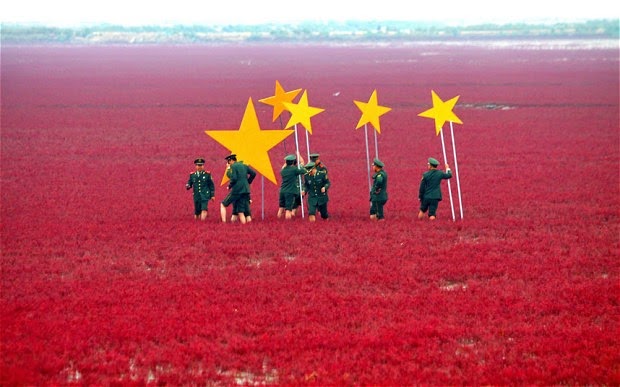 china-flag-marsh_2353678b